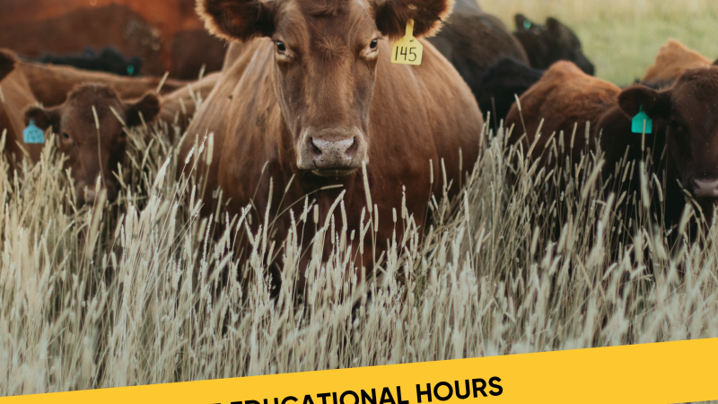 025 4H Livestock Hours, EPD’s & Mock Live Bull Sale