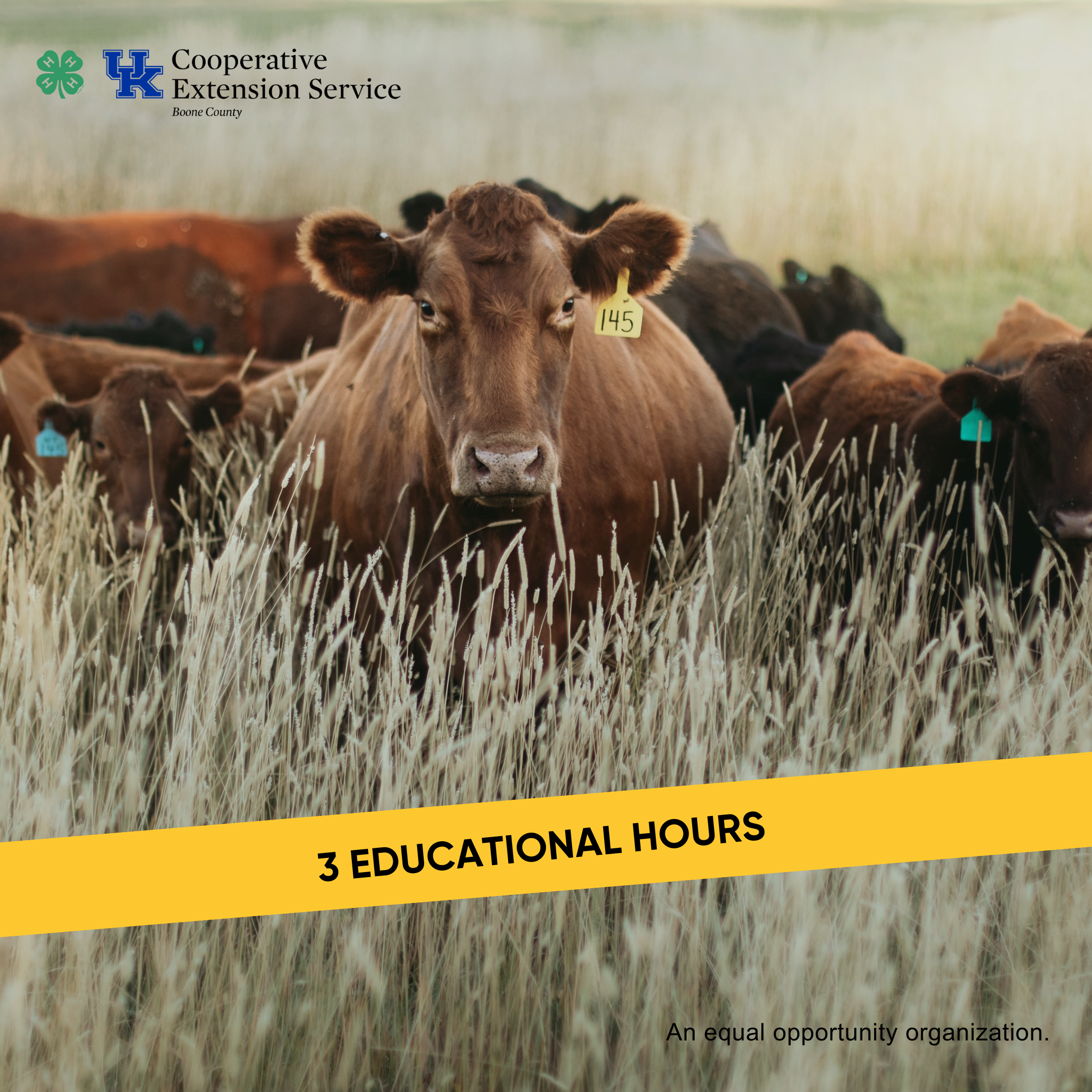 025 4H Livestock Hours, EPD’s & Mock Live Bull Sale